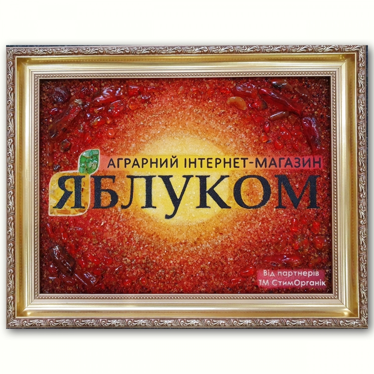 Картина - Примеры логотипов из янтаря