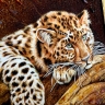 Картина Леопард из янтаря